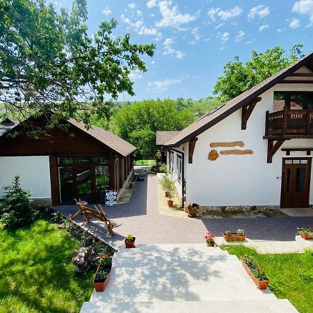 Hotel Valea Stancii Trebujeni Esterno foto