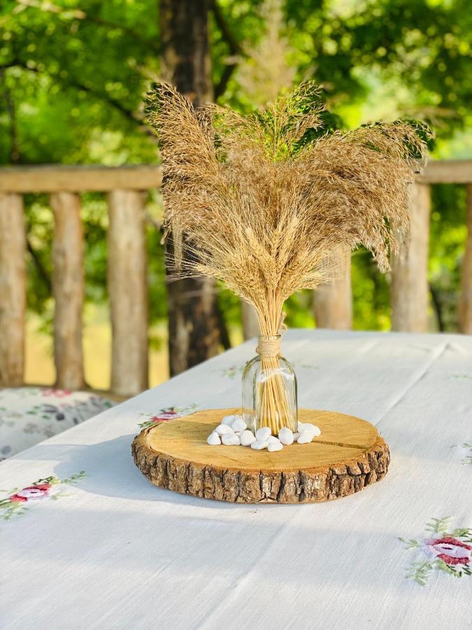 Hotel Valea Stancii Trebujeni Esterno foto